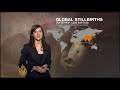 Study reveals stillbirths as a global problem
