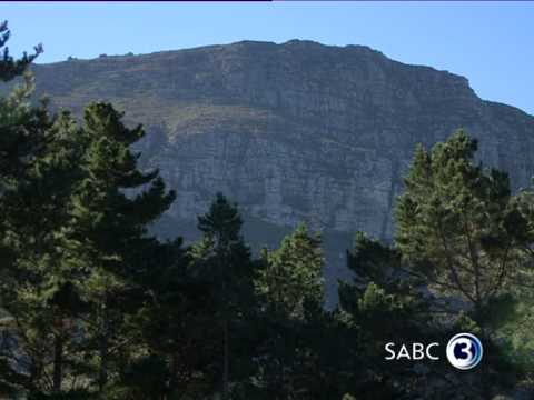 Top Billing features a Hout Bay home