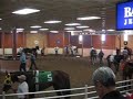 This is a video of when me and Palley went to the horsetrack, finally, after talking about it for years.