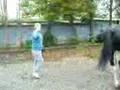 MOV01028 (MOV01028.3GP)