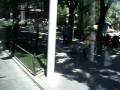 Tranvía de Sevilla (Metrocentro)