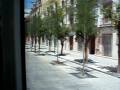 Tranvía de Sevilla (Metrocentro)