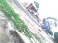 FLiP Na ALBuKA