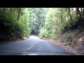 sheshu - Thanksgiving Roadtrip in Loast coast.. Redwoods on our way from Redway to Shelter cove