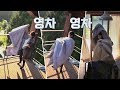 '열일' 아이유, 힘이여 솟아랏(!) 자신보다 큰 이불도 번~쩍! 효리네 민박 3회
