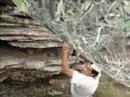 Princ�pio Ativo - Jo�o Ant�o
