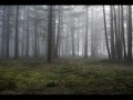 Shadowgate 64 Music - Pixie