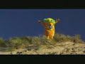 Sonic Ani...