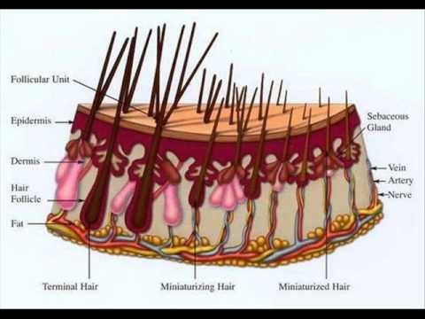 how to be a hair drug test