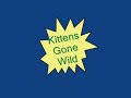 Kittens Gone Wild