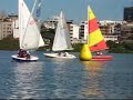 Campeonato Estadual de Dingue 2007 Campeonato Estadual de Dingue 2007
