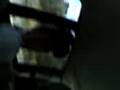 videos de No carro de Leo .
