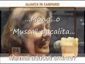 Mona-Musca-tradata-d