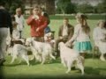 Dog Show at Biggin Hill early 1960s
