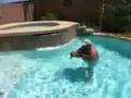 videos de Grandpa and Fredo!