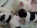 Beating up Mom Beating up Mom