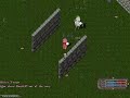 ウルティマ・オンライン動画