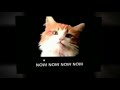 Cat Sings Deep Throat Meow Mix Jam