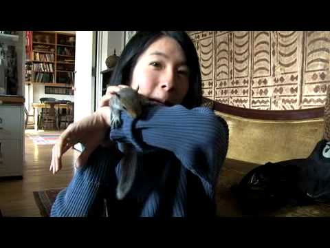 how to take care of a wild baby squirrel