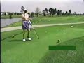 golfer kills bird