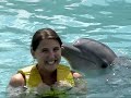 Phillip Shades Goes Swimming With Dolphins