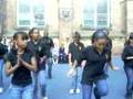 ICS Vision Steppers