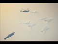 Classic FM - Fish