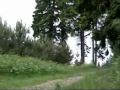 Ree op wandelpad