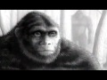 LOST TAPES: Southern Sasquatch