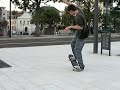 flip manual