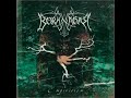 teledysk, klip, Borknagar,- The Stellar Dome