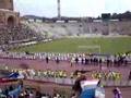 Fischio Finale!! Catania-Chievo 2-0....Salvezza al Dall'Ara