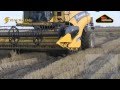 Click to View : POLUZZI - Tracks