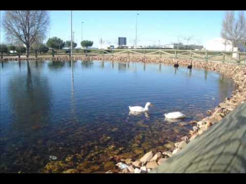 Imagen de previsualización de YouTube