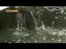 Shidate_2 Shidate_2