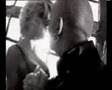 Assistir ao v�deo