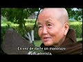 Sobre la compasion