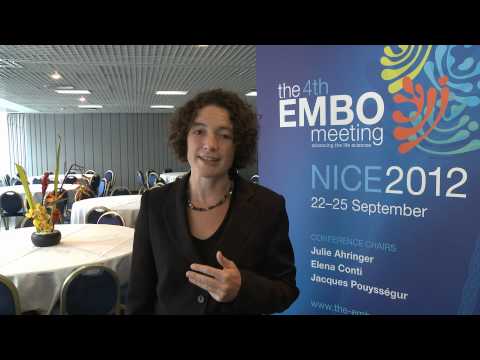 how to write job application