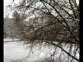 videos de First snow in 2008 (west window)