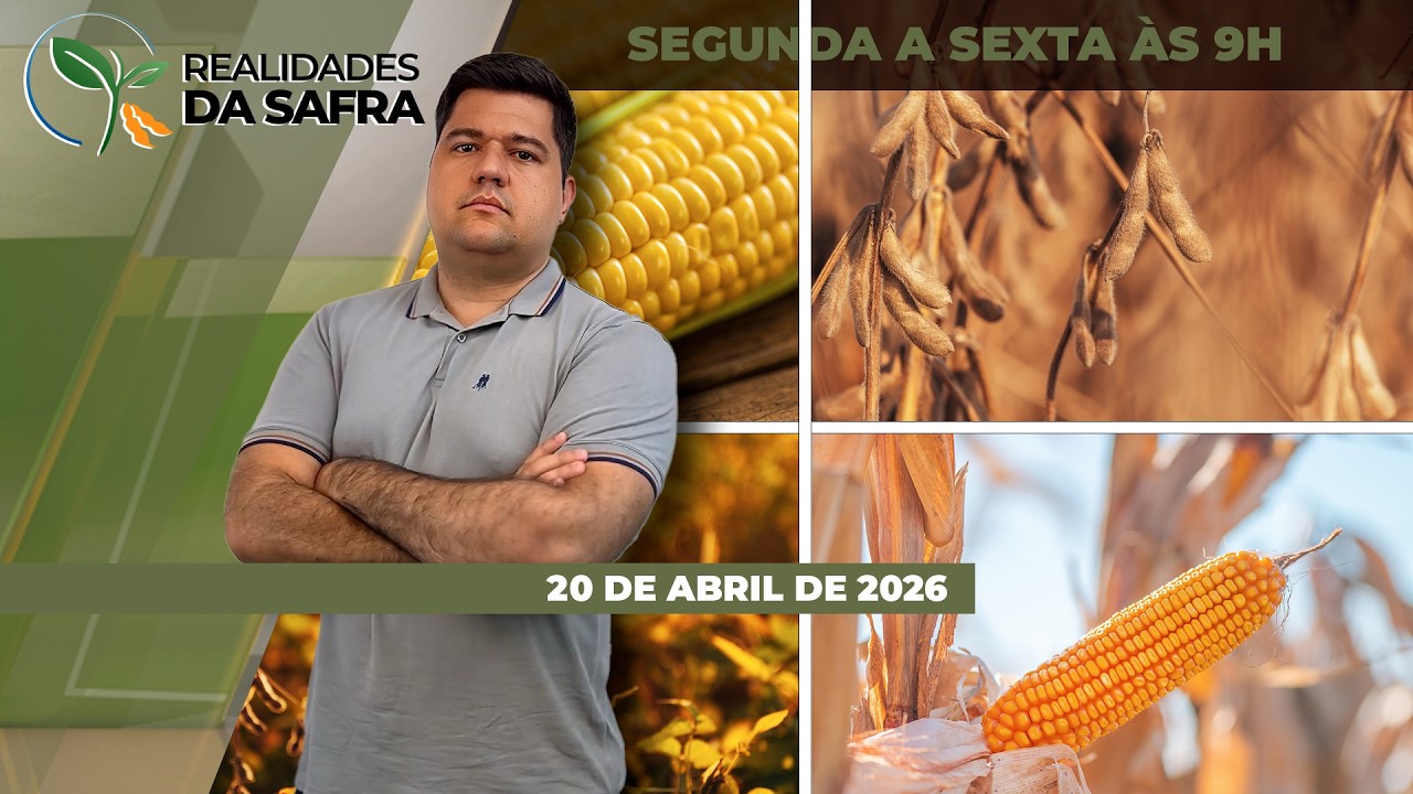 REALIDADES DA SAFRA - EDIÇÃO 20/04/2026