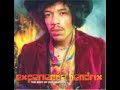 lion music asked the band sun caged to be a part of a tribute to jimi hendrix. on the album 