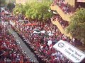 The best dog walk, uga georgia bulldogs, tennessee,