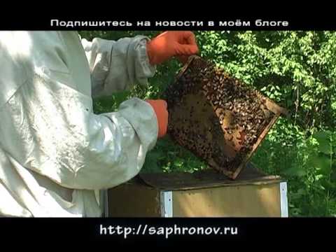 Костюмы своими руками - фото-инструкции как сделать костюмы Косички Зи-зи - Страница 2 / Плетение косичек и дредов / Hairlife