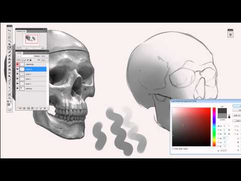 how to keep paint brushes soft