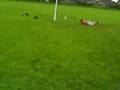 videos de wonder celebration