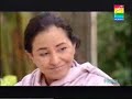 Man-o-salwa Part2