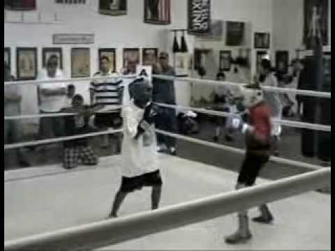Boxer aleman