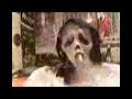Shisha - Scream - Honigdieb2007