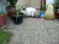 videos de double_take_euphoria.MPG