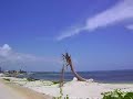 Costa de Mahahual Quintana Roo